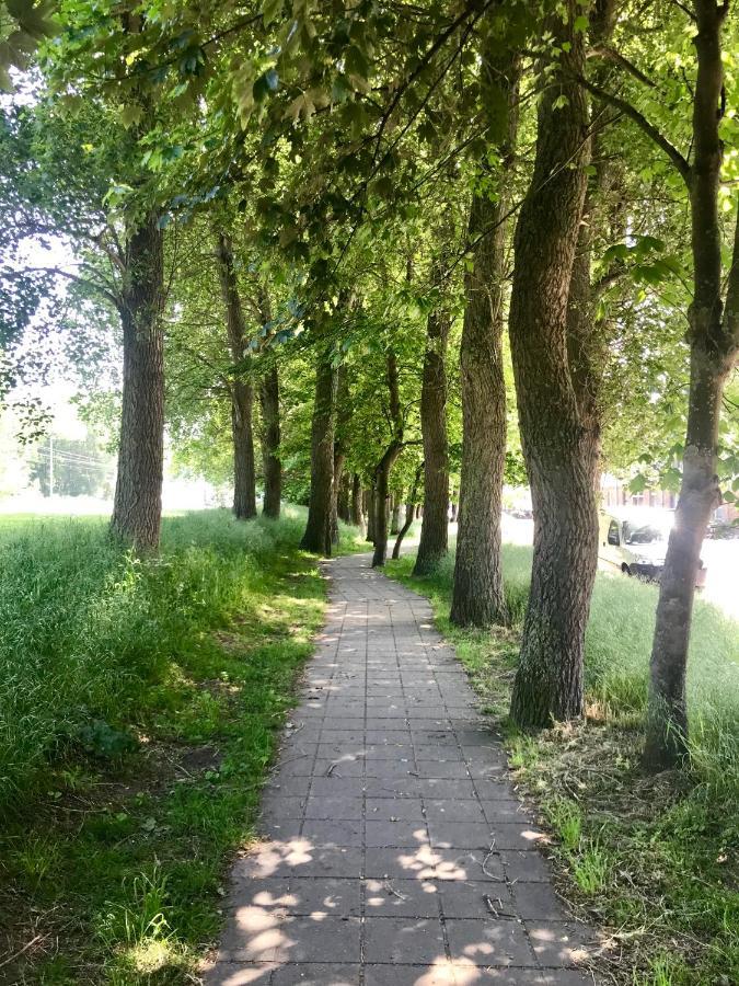 Sea And Dunes Knokke-Heist Buitenkant foto